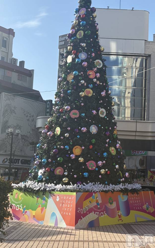 ��Į����Х��顦����֥���� �ץ���� ����(����� �ץ���� ������) ���䡡����12��16���̥�֥�����🎄*⋆��