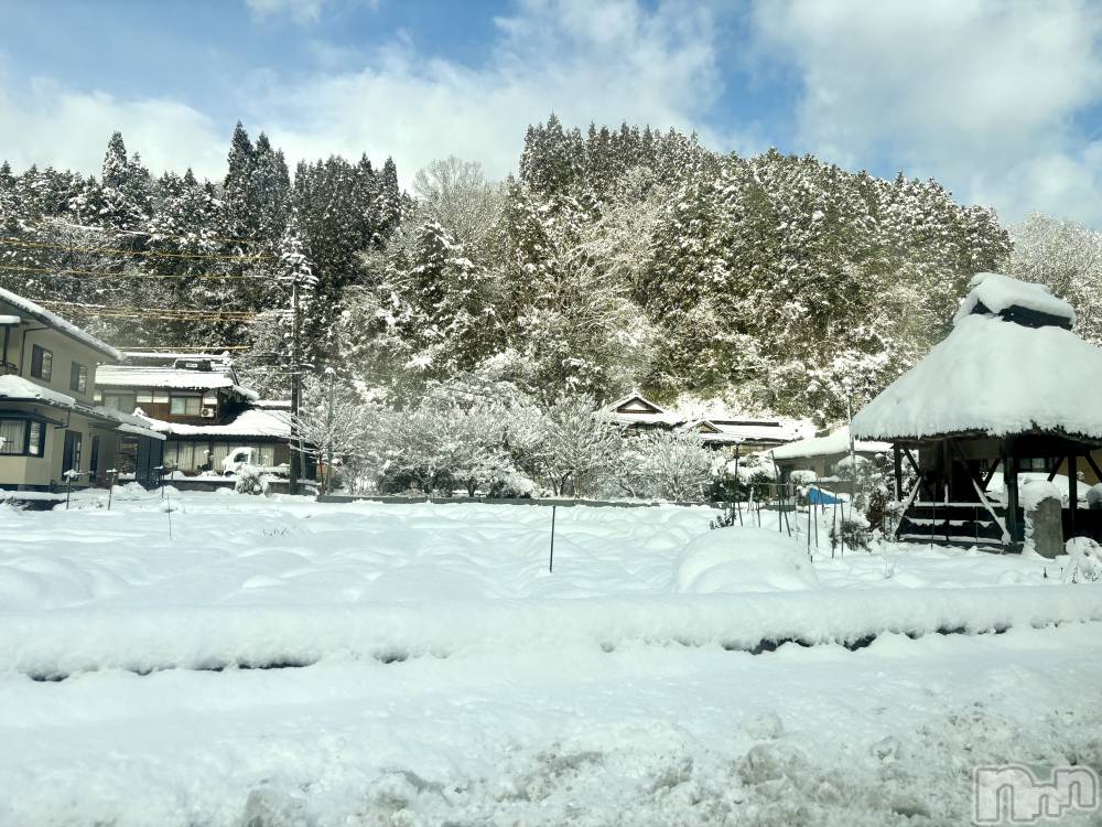 ��Į����Х��顦����֥���� �ץ���� ����(����� �ץ���� ������) ���䡡����1��7���̥�֥�����🎍🌅��