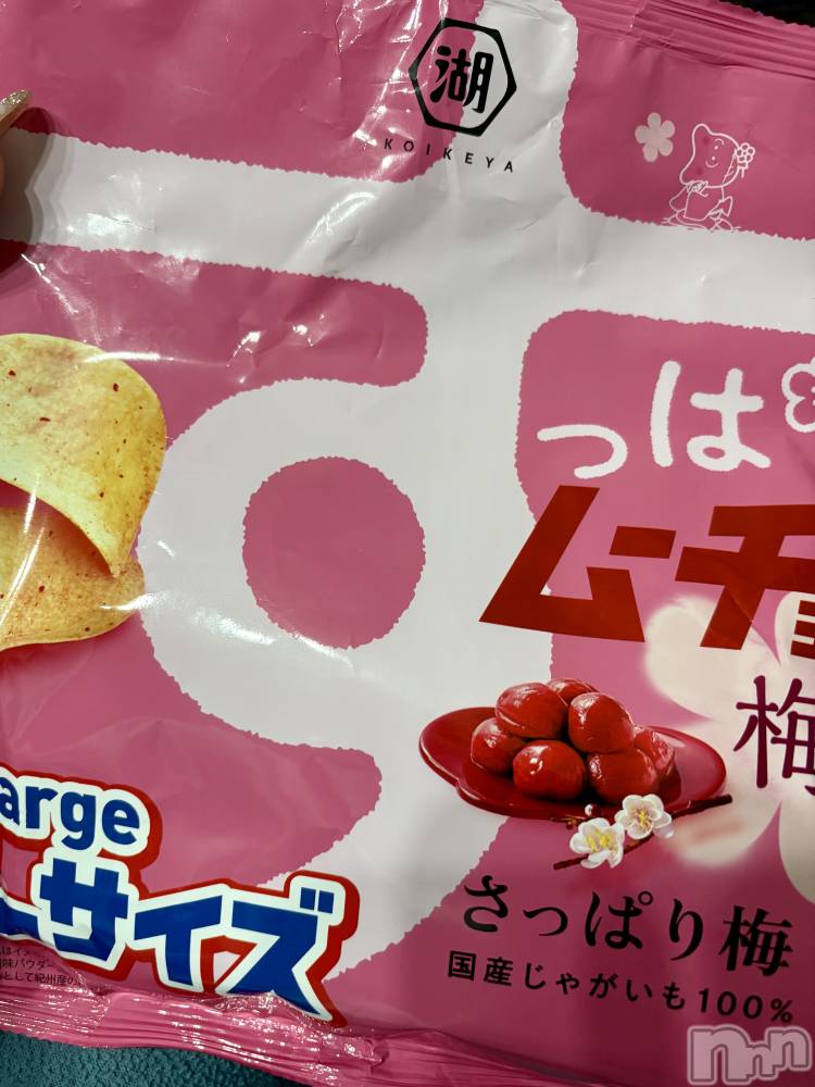 ��Į����Х��顦����֥���� �ץ���� ����(����� �ץ���� ������) ���䡡����2��10���̥�֥�����(��*��)��