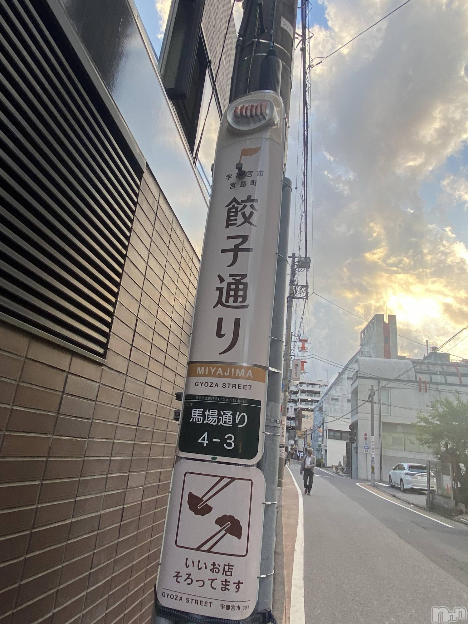 ĮХ顦֥ ץ ( ץ ) 2024ǯ614̥֥>  ̫ <