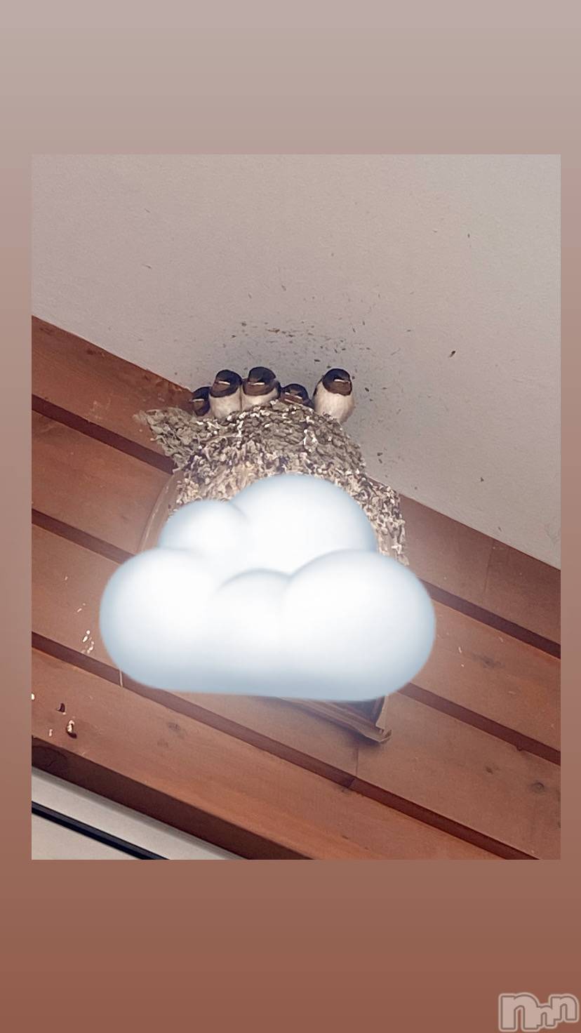 ĮХ顦֥ ץ ( ץ ) 2024ǯ716̥֥🐤🐦