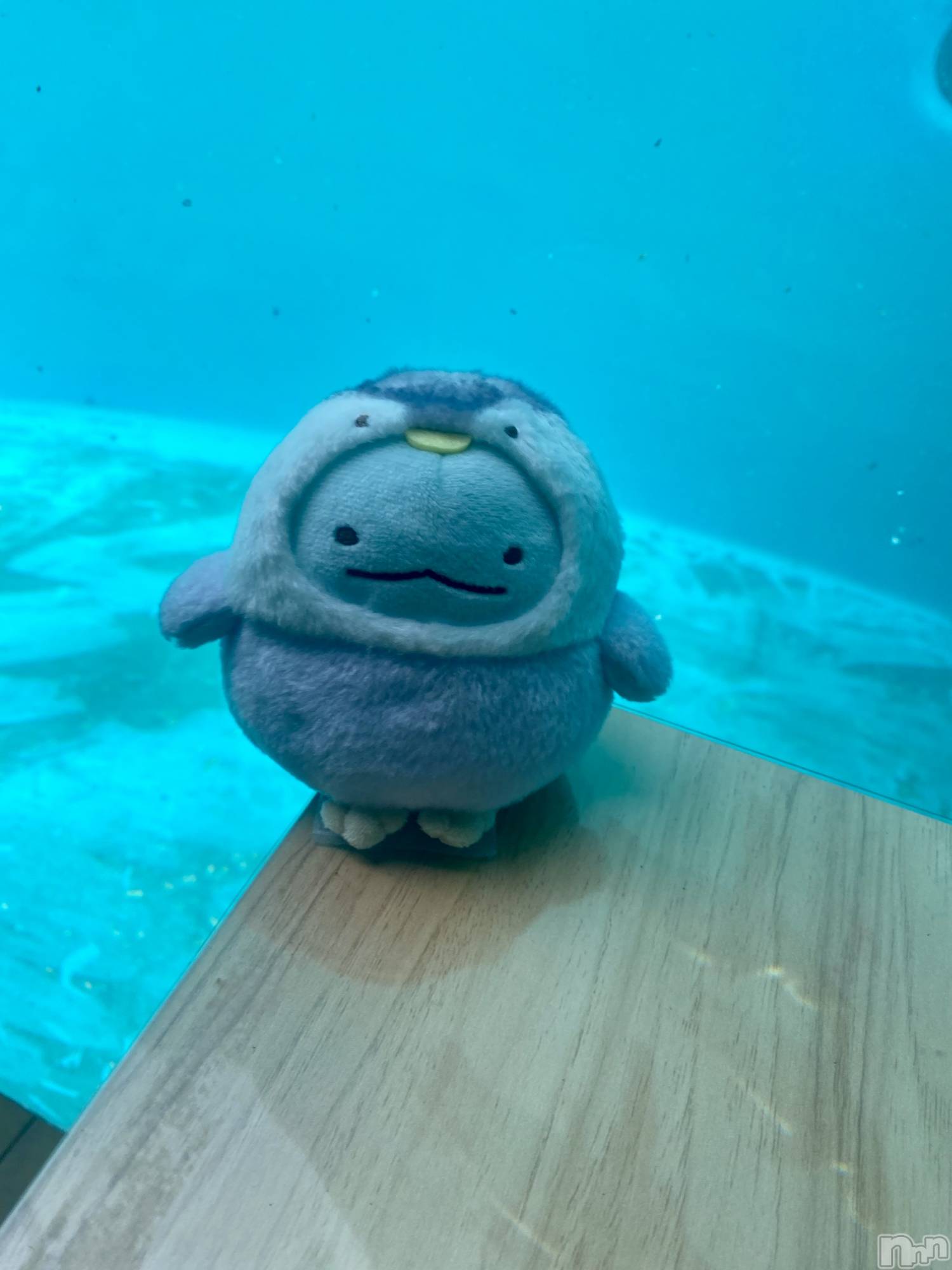ĮХ顦֥ ץ ( ץ ) 2024ǯ729̥֥🐧🩵