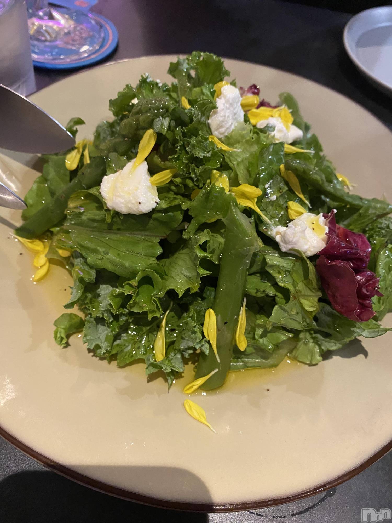 ĮХ顦֥ ץ ( ץ ) 2024ǯ922̥֥𓌉🥗𓇋