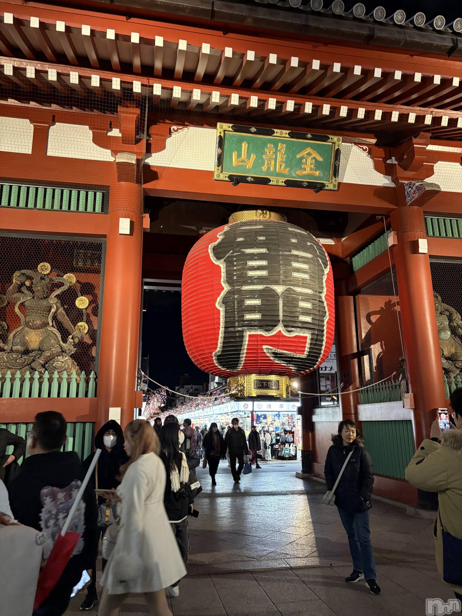 ĮХ顦֥ ץ ( ץ ) 2025ǯ131̥֥🏮
