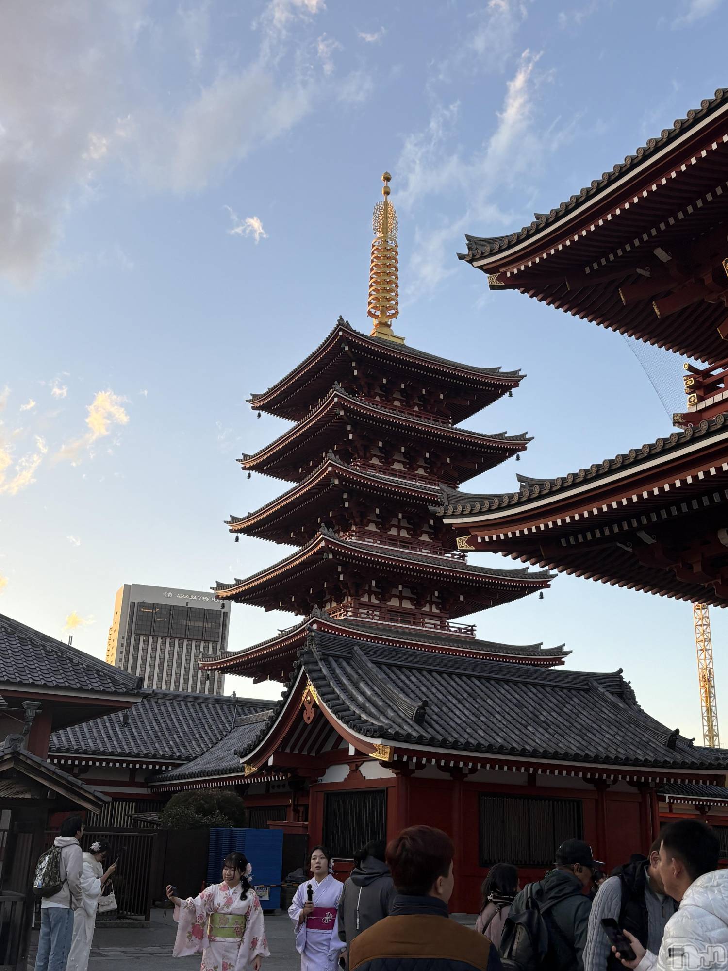 ĮХ顦֥ ץ ( ץ ) 2025ǯ131̥֥🏯
