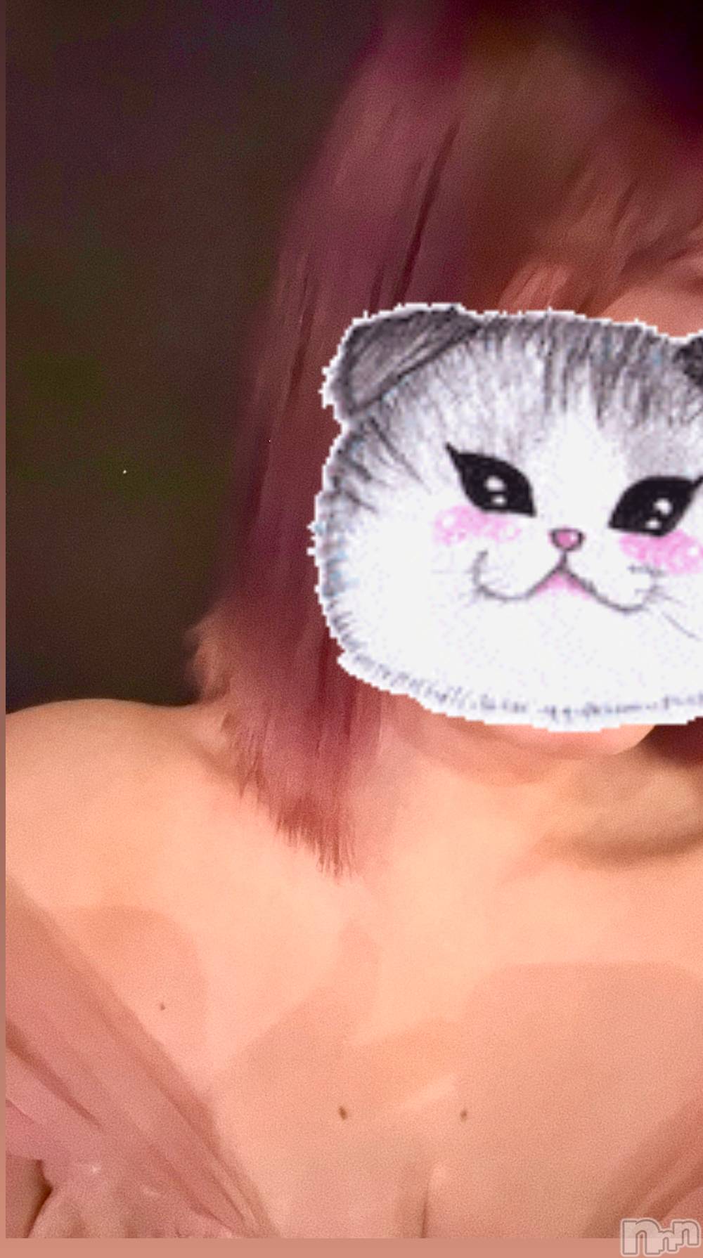 ĮХ顦֥ ץ ( ץ ) 2025ǯ227̥֥🐱