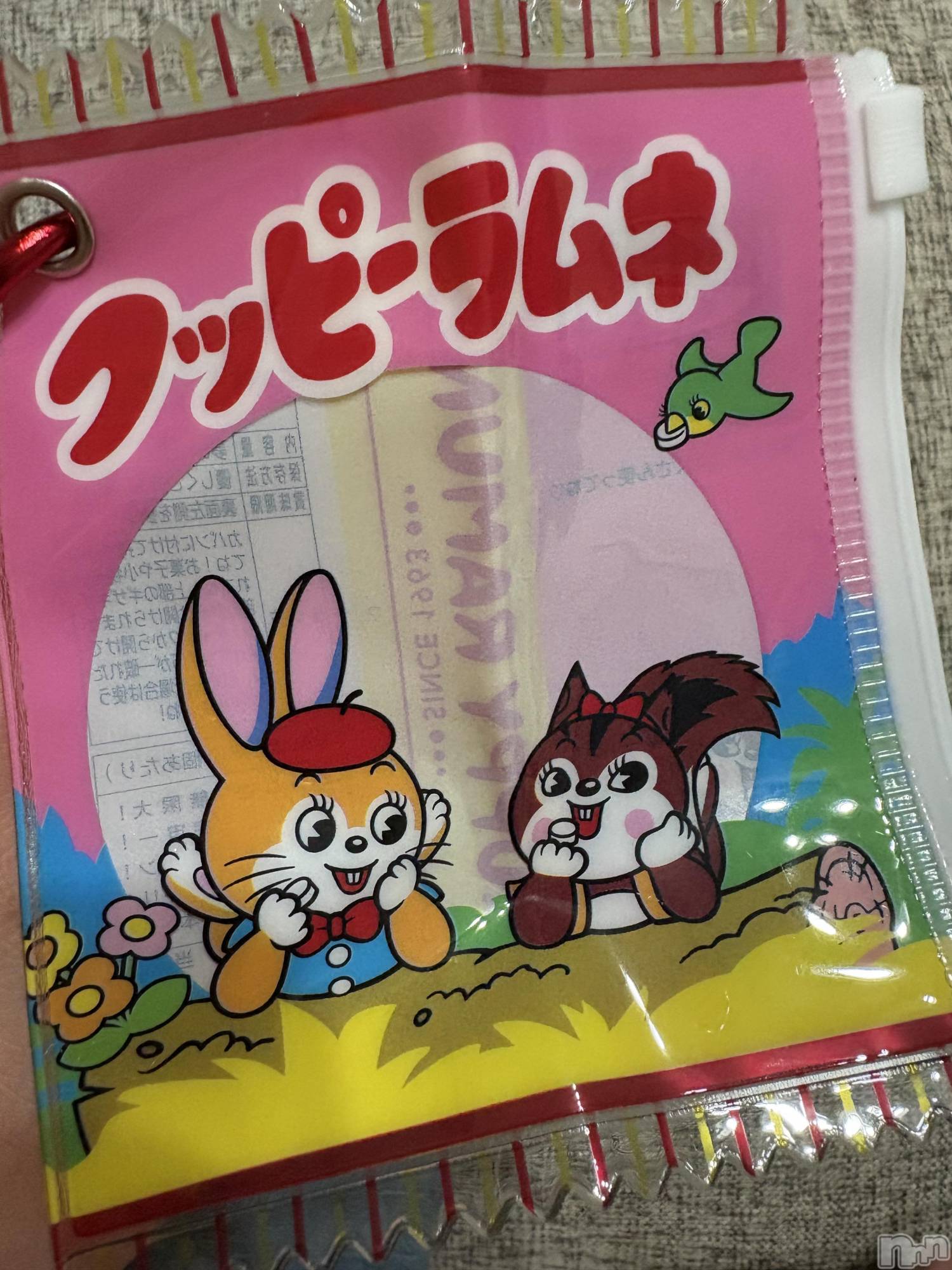 ĮХ顦֥ ץ ( ץ ) 2025ǯ59̥֥🐰🐿