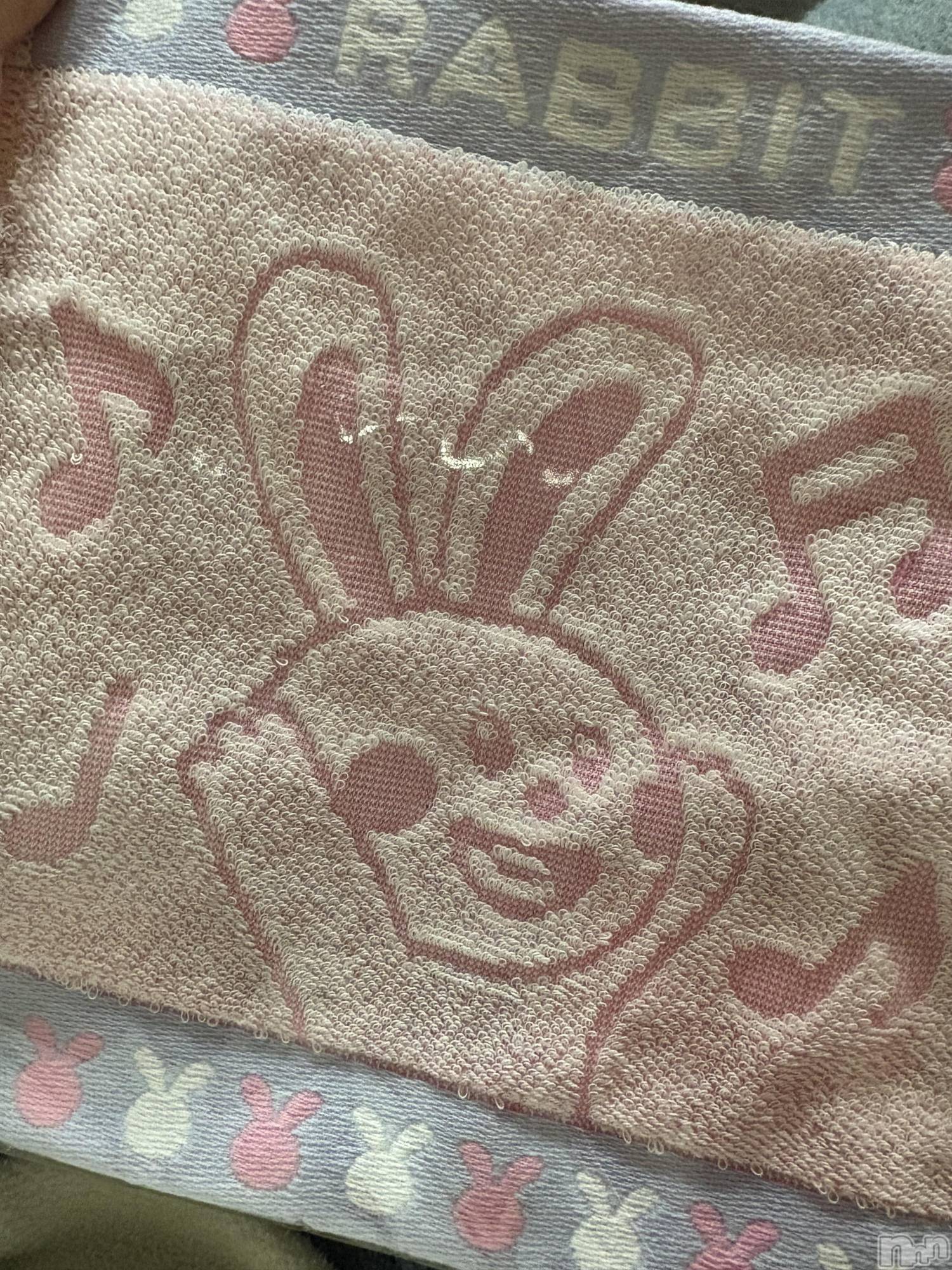 ĮХ顦֥ ץ ( ץ ) 2025ǯ515̥֥🐰⸝꙳*