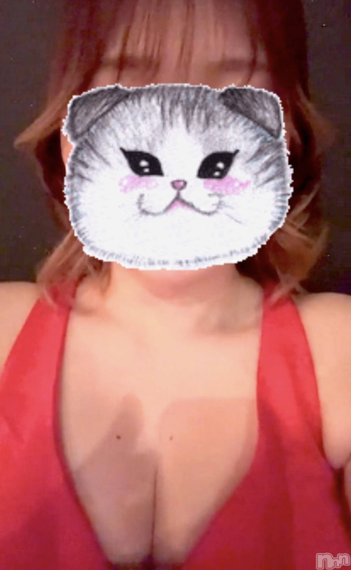 ĮХ顦֥ ץ ( ץ ) 2025ǯ527̥֥🐱ྀི❤️
