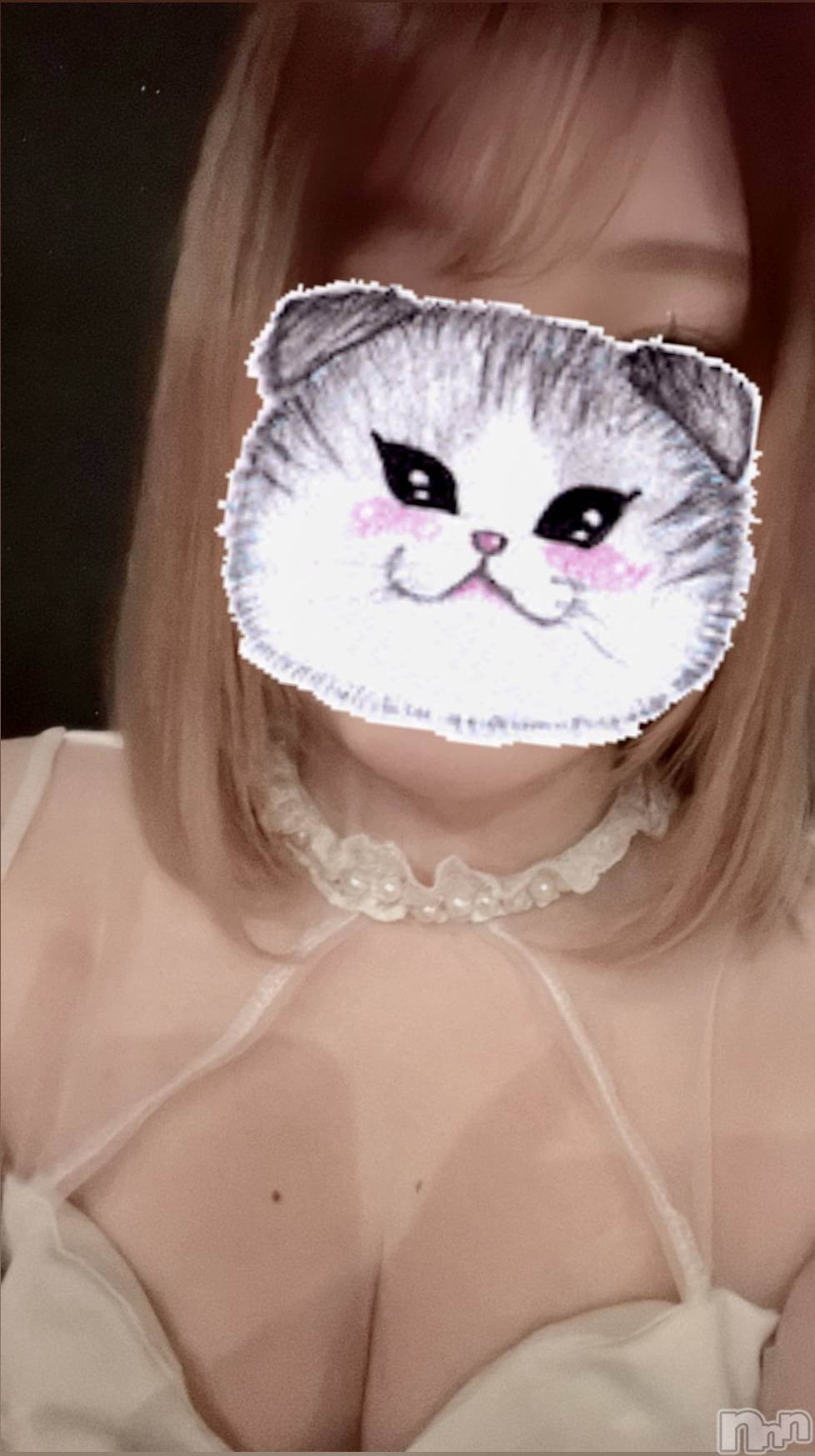 ĮХ顦֥ ץ ( ץ ) 2025ǯ529̥֥🐈