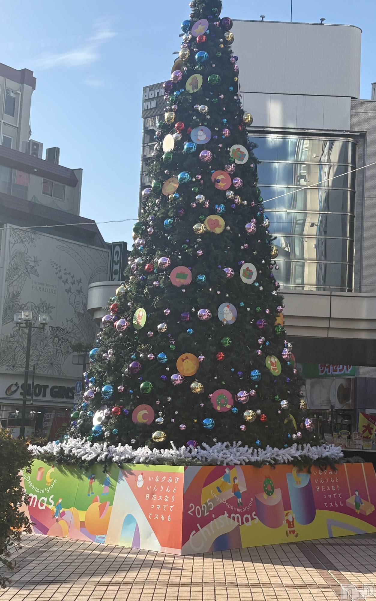 ��Į����Х��顦����֥���� �ץ���� ����(����� �ץ���� ������) ��2025ǯ12��16���̥�֥�����🎄*⋆��