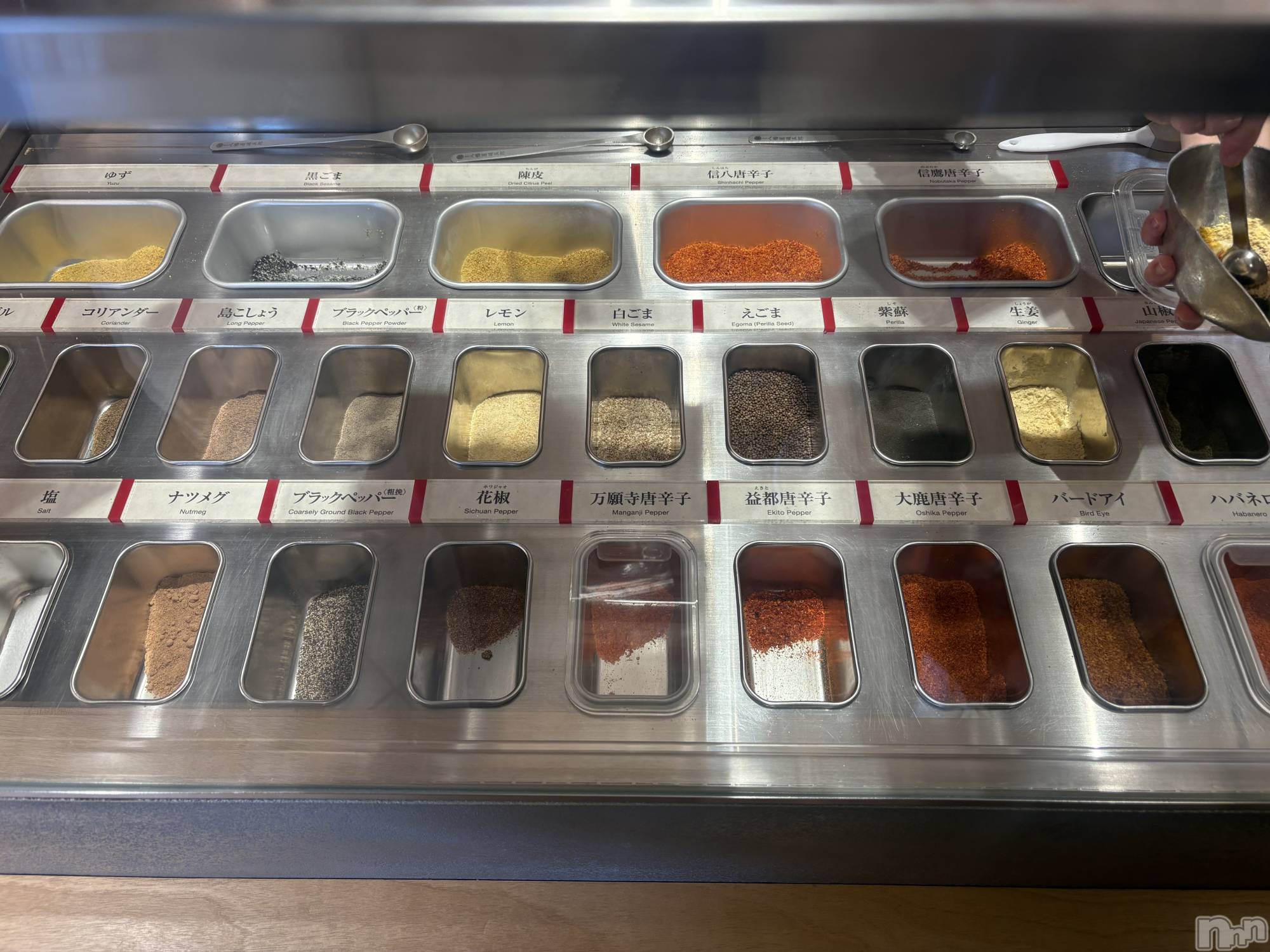 ��Į����Х��顦����֥���� �ץ���� ����(����� �ץ���� ������) ��2025ǯ12��16���̥�֥�����🌶  ̖́-��