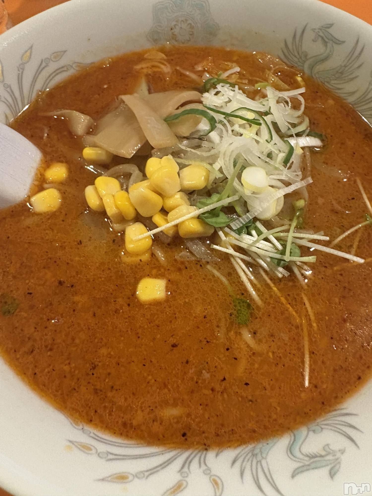 ��Į����Х��顦����֥���� �ץ���� ����(����� �ץ���� ������) ��2026ǯ1��24���̥�֥�����🍜��