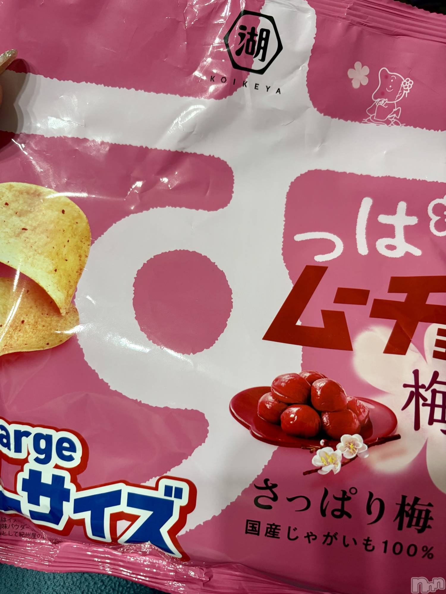 ��Į����Х��顦����֥���� �ץ���� ����(����� �ץ���� ������) ��2026ǯ2��10���̥�֥�����(��*��)��