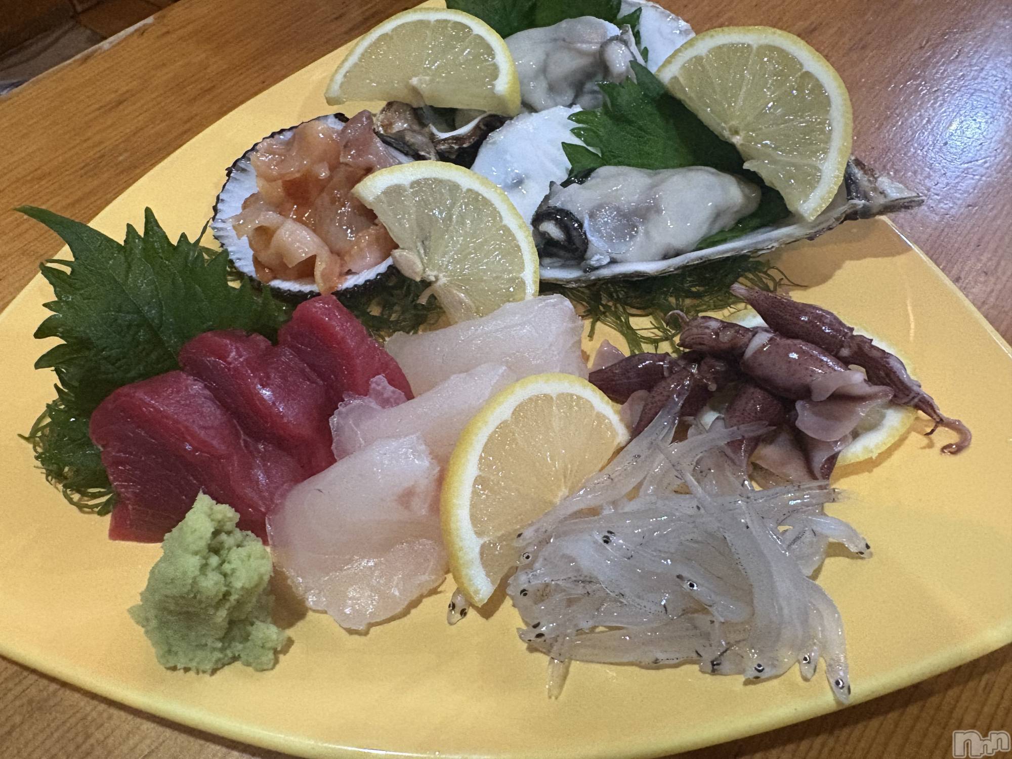 ��Į����Х��顦����֥���� �ץ���� ����(����� �ץ���� ������) ��2026ǯ3��10���̥�֥�����🐟��