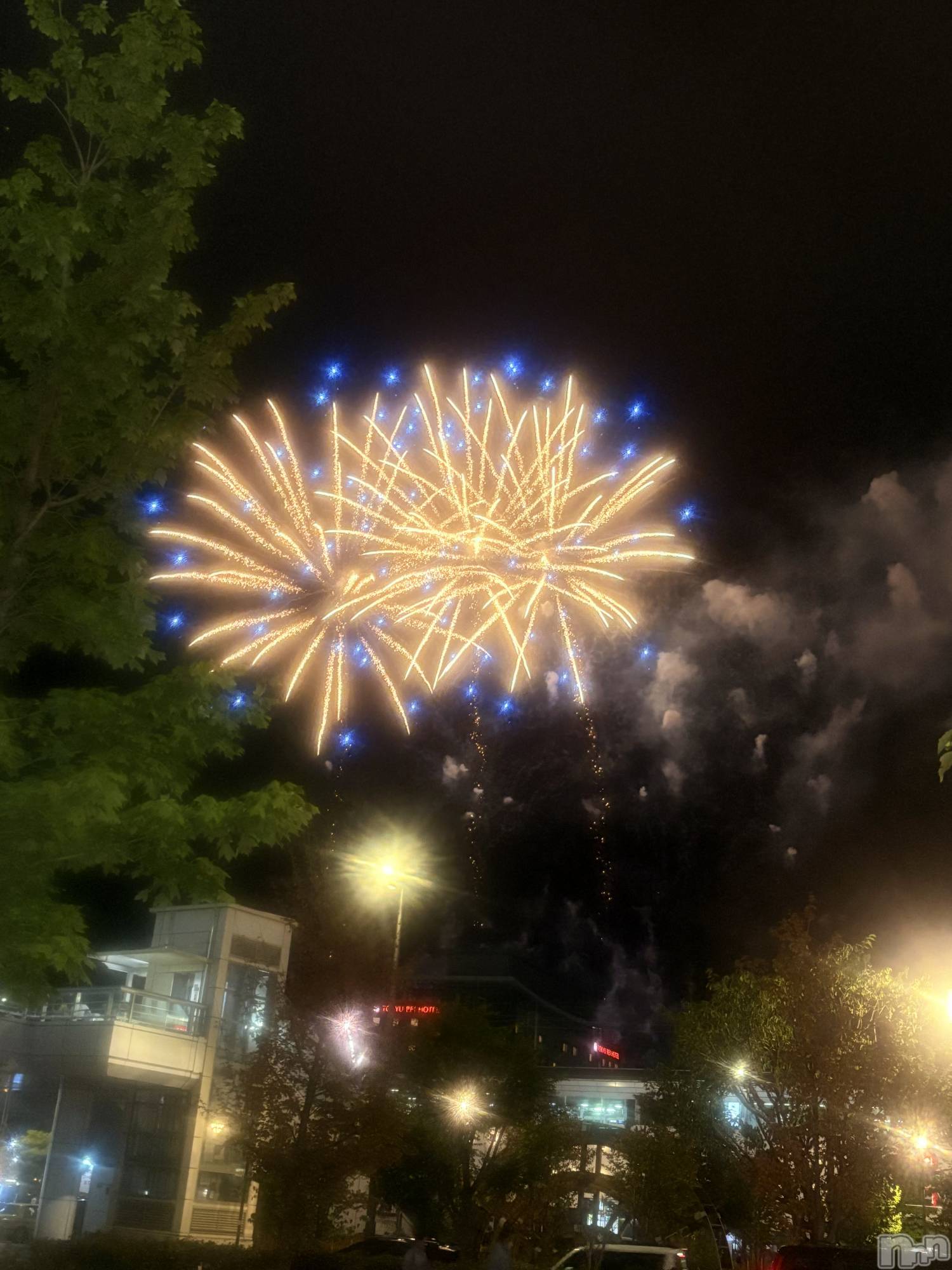 ��Į����Х��顦����֥���� �ץ���� ����(����� �ץ���� ������) ��2026ǯ8��30���̥�֥�����🎆��