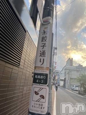 ĮХ顦֥ ץ ( ץ ) 䡡614̥֥>  ̫ <