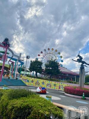 ĮХ顦֥ ץ ( ץ ) 䡡620̥֥🎡