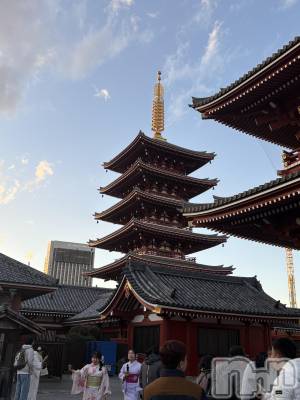 ĮХ顦֥ ץ ( ץ ) 䡡131̥֥🏯