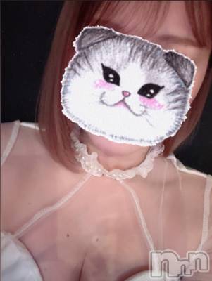 ĮХ顦֥ ץ ( ץ ) 䡡41̥֥🐱ྀི🐱ྀི