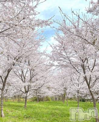 ĮХ顦֥ ץ ( ץ ) 䡡417̥֥🌸