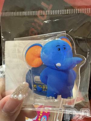 ĮХ顦֥ ץ ( ץ ) 䡡515̥֥🐘💕
