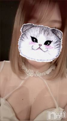ĮХ顦֥ ץ ( ץ ) 䡡529̥֥🐈