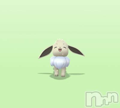 ��Į����Х��顦����֥���� �ץ���� ����(����� �ץ���� ������) ���䡡����12��12���̥�֥�����🫶��