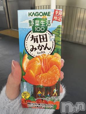 ��Į����Х��顦����֥���� �ץ���� ����(����� �ץ���� ������) ���䡡����12��13���̥�֥�����🍊��