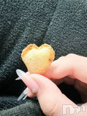 ��Į����Х��顦����֥���� �ץ���� ����(����� �ץ���� ������) ���䡡����12��15���̥�֥�����🫰��