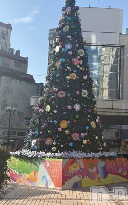 ��Į����Х��顦����֥���� �ץ���� ����(����� �ץ���� ������) ���䡡����12��16���̥�֥�����🎄*⋆��