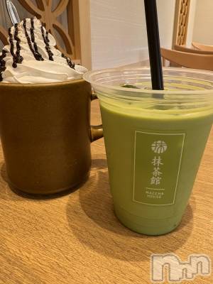 ��Į����Х��顦����֥���� �ץ���� ����(����� �ץ���� ������) ���䡡����12��16���̥�֥�����꒰ 🍵 ꒱��