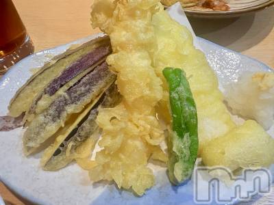 ��Į����Х��顦����֥���� �ץ���� ����(����� �ץ���� ������) ���䡡����1��15���̥�֥�����🫶��