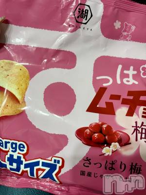 ��Į����Х��顦����֥���� �ץ���� ����(����� �ץ���� ������) ���䡡����2��10���̥�֥�����(��*��)��