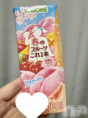 ��Į����Х��顦����֥���� �ץ���� ����(����� �ץ���� ������) ���䡡����2��13���̥�֥�����💖��