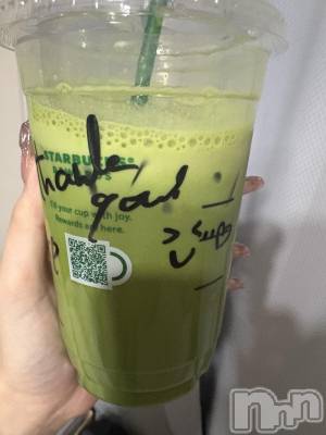 ��Į����Х��顦����֥���� �ץ���� ����(����� �ץ���� ������) ���䡡����3��16���̥�֥�����🍵🌿‬��