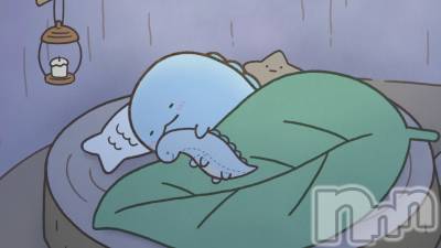 ��Į����Х��顦����֥���� �ץ���� ����(����� �ץ���� ������) ���䡡����3��17���̥�֥�����☀️��