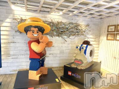 ��Į����Х��顦����֥���� �ץ���� ����(����� �ץ���� ������) ���䡡����10��6���̥�֥�����👒🟥��