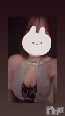 🐰