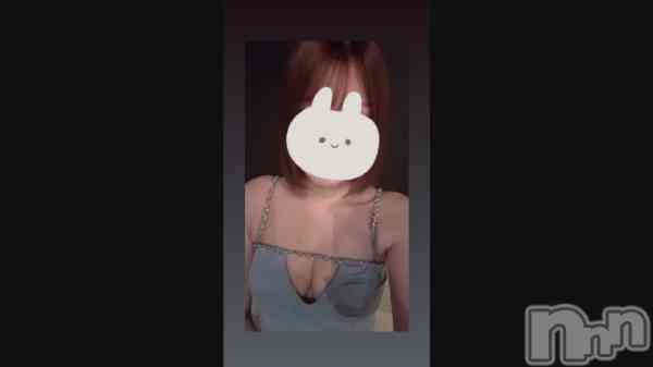 ��ᐢ. ̫. ᐢ️🩵��