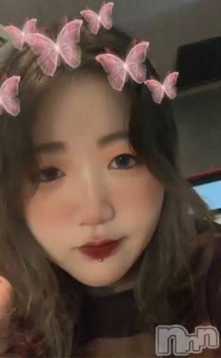Ʋʥå륺СMuscat`s(ޥå) 礦16̥֥🎂🎉🐰🦋