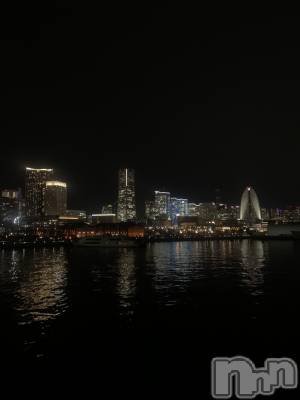 Ʋʥå륺СMuscat`s(ޥå) 礦313̥֥🏙🐬🫧‪