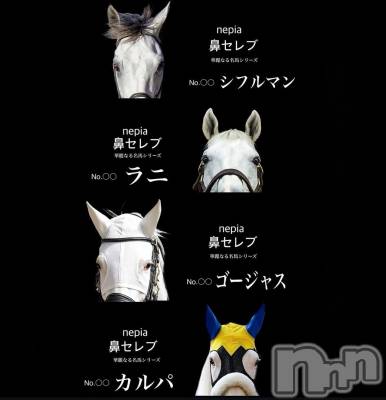 新潟デリヘル 人妻楼　新潟店(ヒトヅマロウ　ニイガタテン) 西条(37)の12月6日写メブログ「華麗なる鼻セレブ🦄✨」