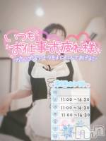 来週の予定