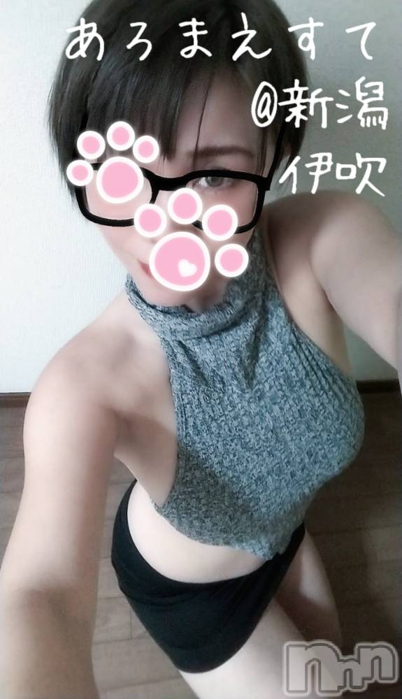 㡦ȯĥꥢ󥺥Ƥޤơ(ޥƥåȥ˥) ˿֤128̥֥(*`)