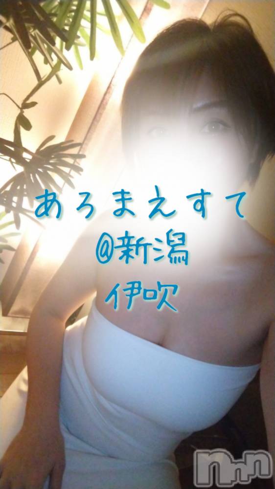 㡦ȯĥꥢ󥺥Ƥޤơ(ޥƥåȥ˥) ˿֤47̥֥֤ޤä㤦ʡ