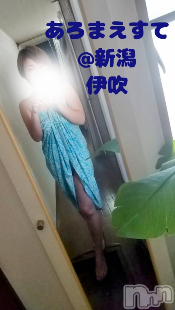 㡦ȯĥꥢ󥺥Ƥޤơ(ޥƥåȥ˥) ˿֤617ֺ̥֥⿿