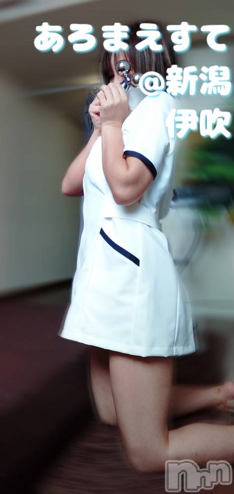 㡦ȯĥꥢ󥺥Ƥޤơ(ޥƥåȥ˥) ˿֤1022̥֥֤֤40ѡ