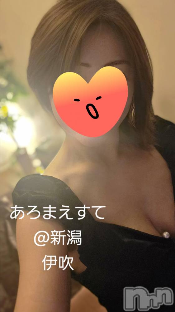 㡦ȯĥꥢ󥺥Ƥޤơ(ޥƥåȥ˥) ˿֤529̥֥֤ͤΤˡ
