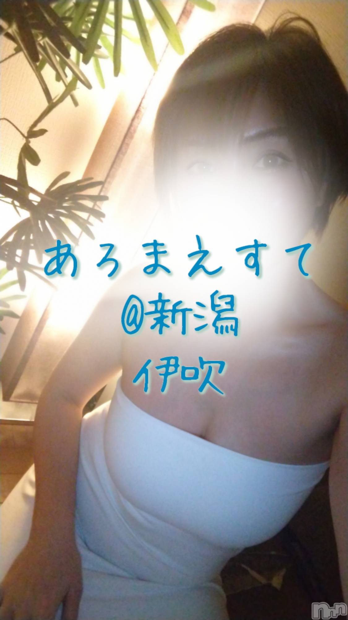 㡦ȯĥꥢ󥺥Ƥޤơ(ޥƥåȥ˥) 2024ǯ47̥֥֤ޤä㤦ʡ